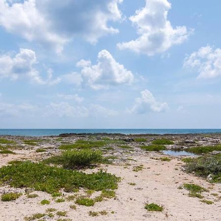 Ground Level Garden Condo At Akumal South By Tao Santamar Exterior foto