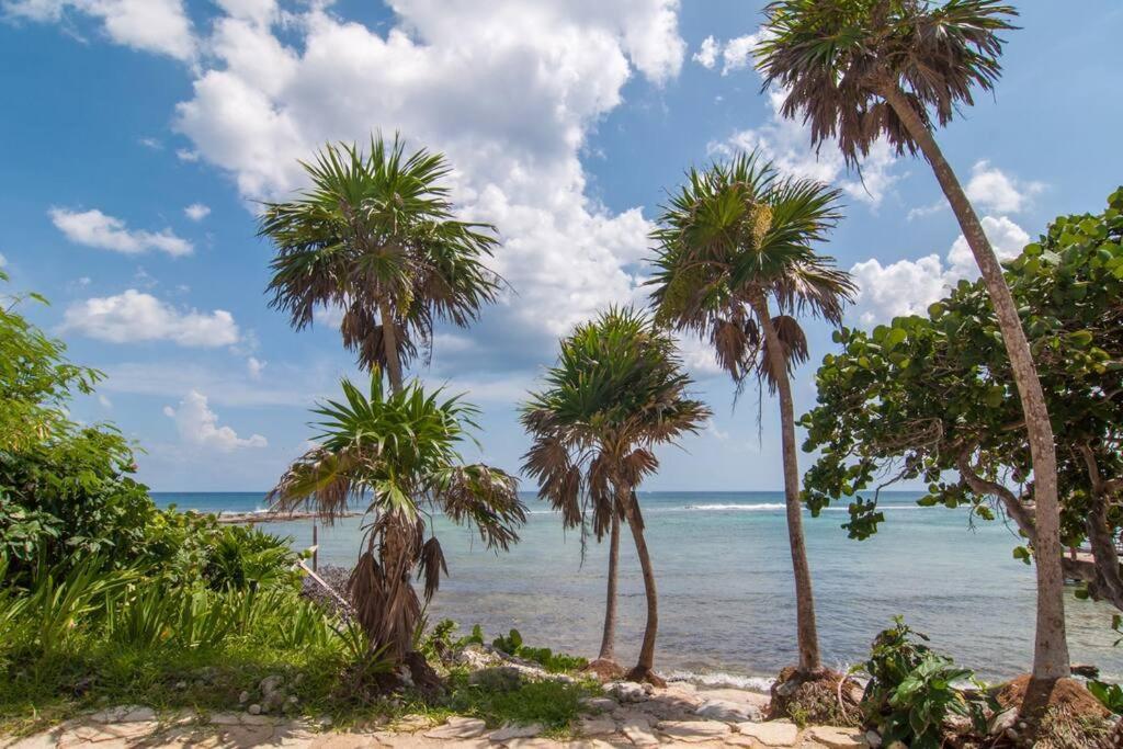 Ground Level Garden Condo At Akumal South By Tao Santamar Exterior foto